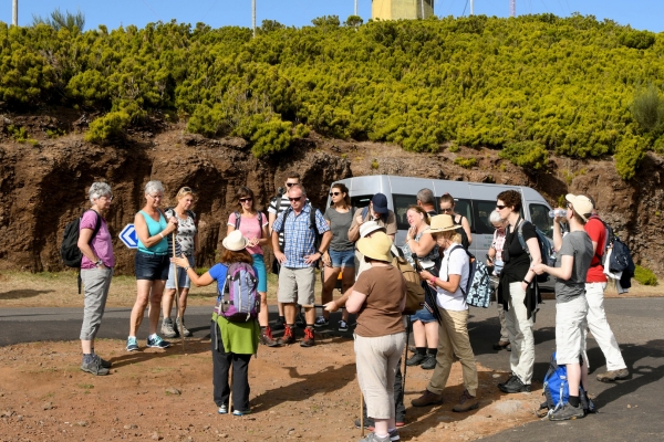 shore excursions image